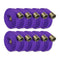 Purple 1" Double Jacket Fire Hose NH (NST) Aluminum:500 Feet (QTY 10 Pack x 50 Feet):The Fire Hose Store