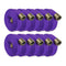 Purple 4" Double Jacket Fire Hose NH (NST) Aluminum:500 Feet (QTY 10 Pack x 50 Feet):The Fire Hose Store